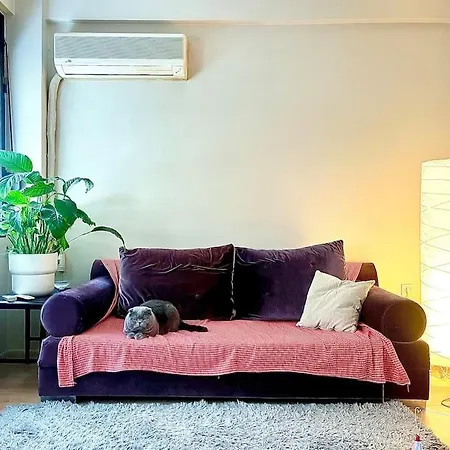 Cozy House Apartment